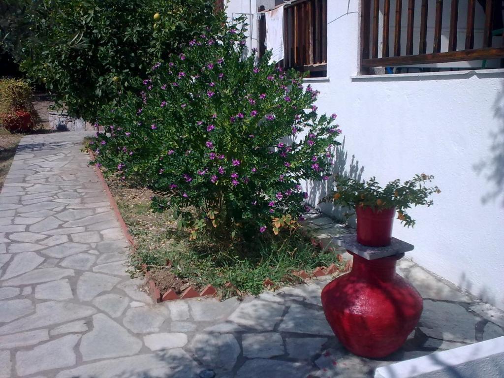 Liossis Rooms & Apartments سكوبيلوس تاون المظهر الخارجي الصورة